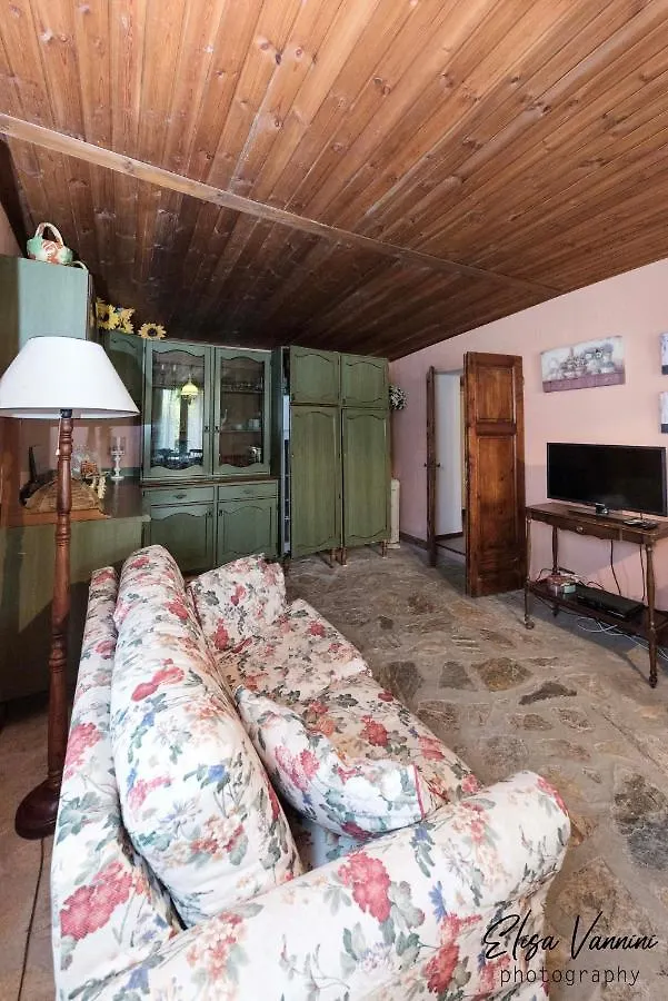 Il Gelsomino Con Piscina Villa Pisa 0*,