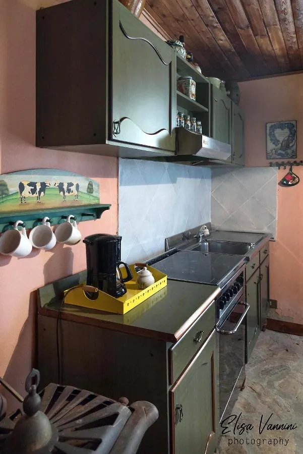 Il Gelsomino Con Piscina Villa Pisa Casa vacanze
