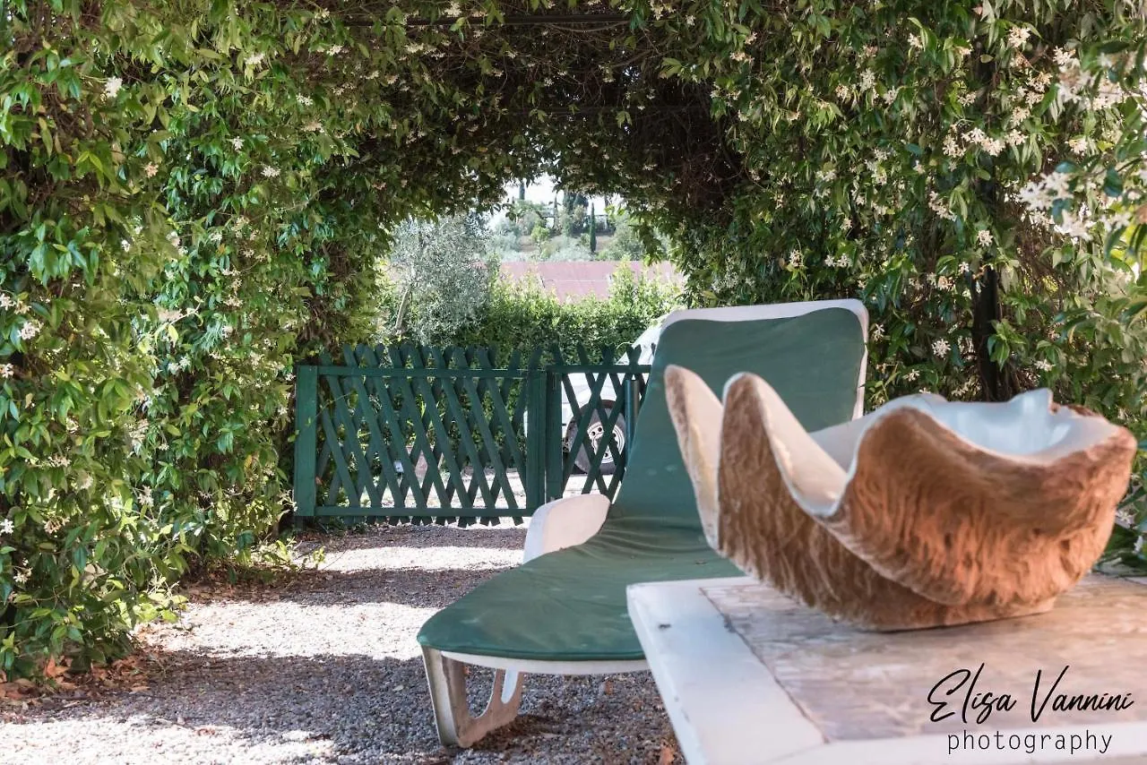 Il Gelsomino Con Piscina Villa Pisa