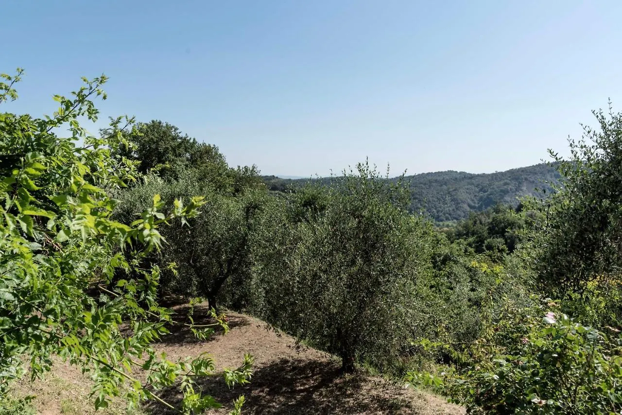 Holiday home Il Gelsomino Con Piscina Villa Pisa