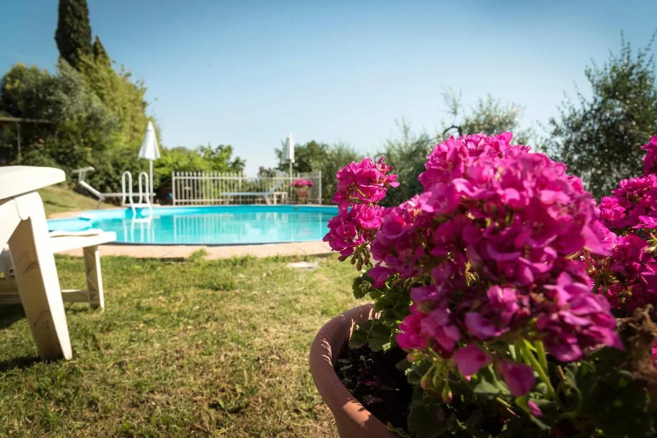 Il Gelsomino Con Piscina Villa Pisa