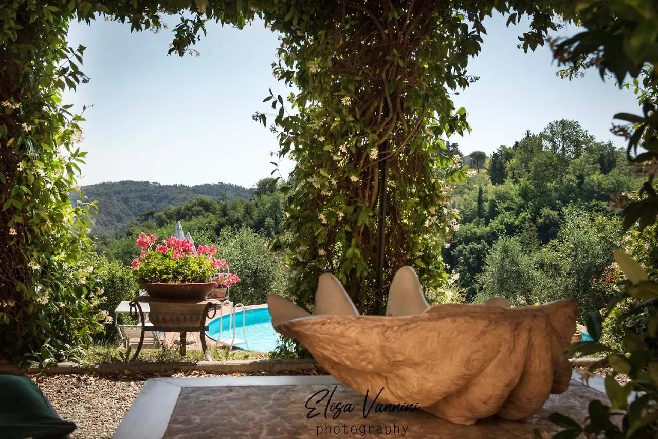 Il Gelsomino Con Piscina Villa Pisa Casa vacanze