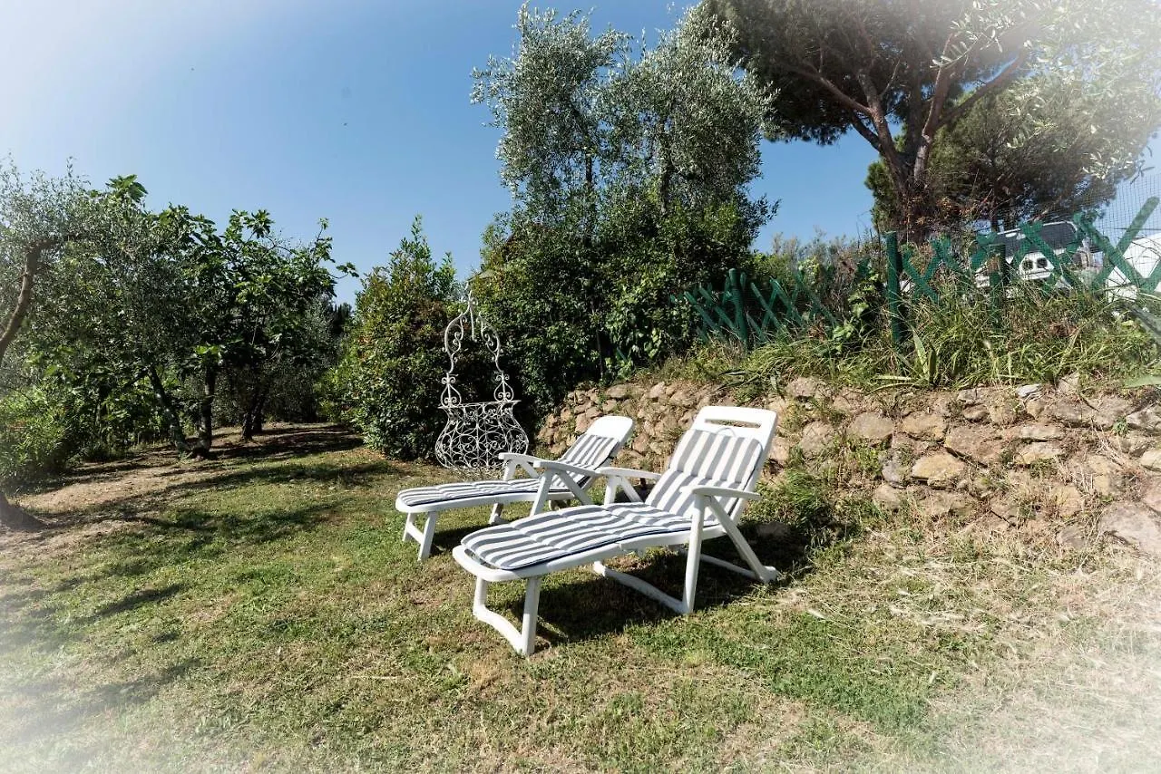 Il Gelsomino Con Piscina Villa Pisa Italia