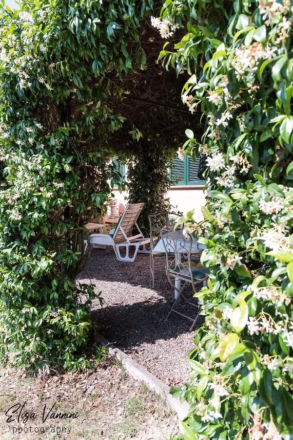 Casa vacanze Il Gelsomino Con Piscina Villa Pisa Italia